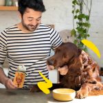 غذای سگ طعم بوقلمون و سبزیجات - Image 2